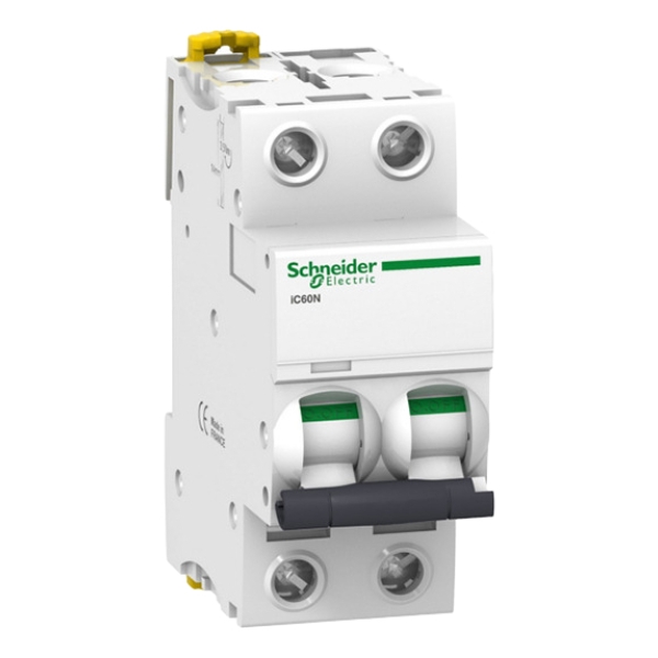 Interruptor Termomagnético 2p 20a Curva D Schneider