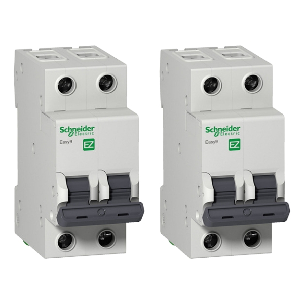 Kit 2 Interruptores Termomagnéticos Easy9 2p6a6ka Schneider