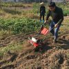 Motocultivador Rotocultivador A Nafta Equus 68cc - Imagen 7