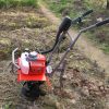Motocultivador Rotocultivador A Nafta Equus 68cc - Imagen 8