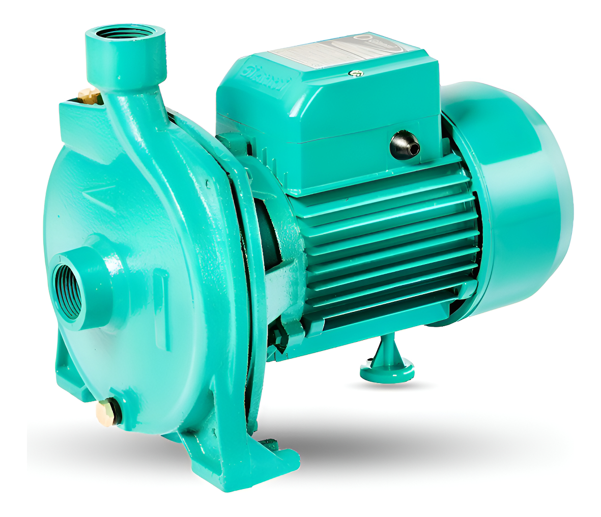 Bomba Centrífuga Presión Agua Gianni 1 Hp Gm16
